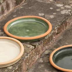 Glazed Terracotta Bird Bath Saucer - Oatmeal 7 Glazed Terracotta Bird Bath Saucer - Oatmeal -Cheap Plants Store pr2000038881 card4 lg