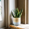 Bamboo Light Blue Planter