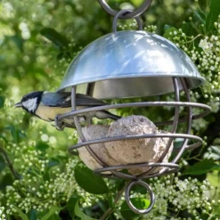 Brushed Aluminium Satellite Fat Ball Feeder -Cheap Plants Store pr2000040682 card5 lg