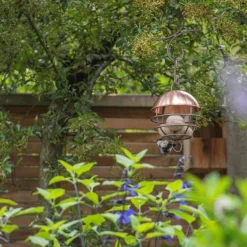 Brushed Copper Satellite Fat Ball Feeder 14 Brushed Copper Satellite Fat Ball Feeder -Cheap Plants Store pr2000040691 card6 lg