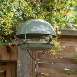 Hanging Bird Feeding Dome - Crocus Green -Cheap Plants Store pr2000040693 card3 lg