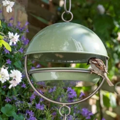 Hanging Bird Feeding Dome - Crocus Green -Cheap Plants Store pr2000040693 card5 lg