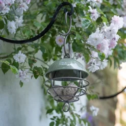 Satellite Fat Ball Feeder - Crocus Green -Cheap Plants Store pr2000040694 card4 lg