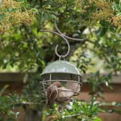 Satellite Fat Ball Feeder - Crocus Green -Cheap Plants Store pr2000040694 card5 lg