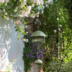 Crocus Green Satellite Bird Seed Feeder 7 Crocus Green Satellite Bird Seed Feeder -Cheap Plants Store pr2000040695 card4 lg