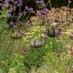 Flower Stake Tealight Holder - Antique Bronze -Cheap Plants Store pr2000040769 card10 lg