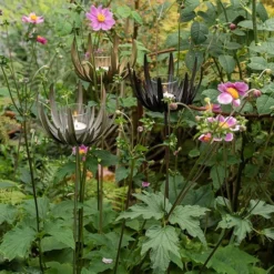 Flower Stake Tealight Holder - Antique Bronze -Cheap Plants Store pr2000040769 card6 lg