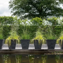 Tapered Plant Pot - Black