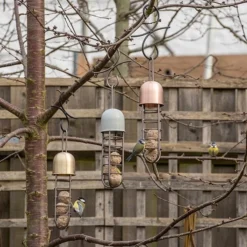 Tree Hanging Fat Ball Feeder - Brass -Cheap Plants Store pr2000041701 card4 lg