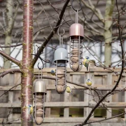 Tree Hanging Fat Ball Feeder - Putty -Cheap Plants Store pr2000041703 card3 lg