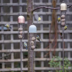 Garden Stake Fat Ball Feeder -Cheap Plants Store pr2000041704 card5 lg