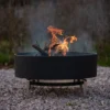 Fire Pit With Free Standing Cooking Grill - Stainless Steel Base