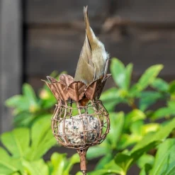 Poppy Seed Head Fat Snax Feeder - Rust -Cheap Plants Store pr2000041714 card3 lg