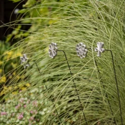 Plant/bulb Marking Stake - Daisy -Cheap Plants Store pr2000041717 card4 lg