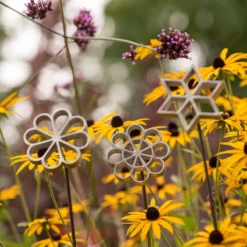 Plant/bulb Marking Stake - Daisy -Cheap Plants Store pr2000041717 card5 lg