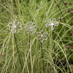 Plant/bulb Marking Stake - Flower -Cheap Plants Store pr2000041718 card3 lg