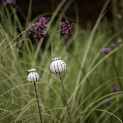 Perennial Plant/bulb Marking Stake Poppy Seed Head 11 Perennial Plant/bulb Marking Stake Poppy Seed Head -Cheap Plants Store pr2000041720 card5 lg