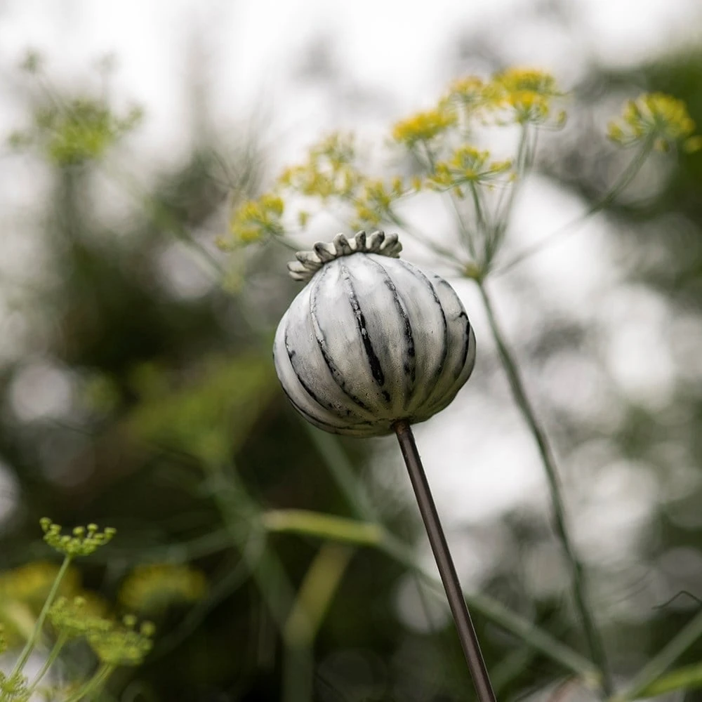 Perennial Plant/bulb Marking Stake Poppy Seed Head 7 Perennial Plant/bulb Marking Stake Poppy Seed Head - Image 7