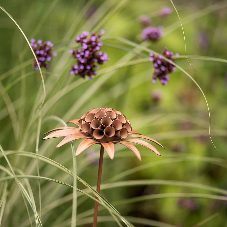 Scabiosa 'deadhead' Stake - Rust 1 Scabiosa 'deadhead' Stake - Rust