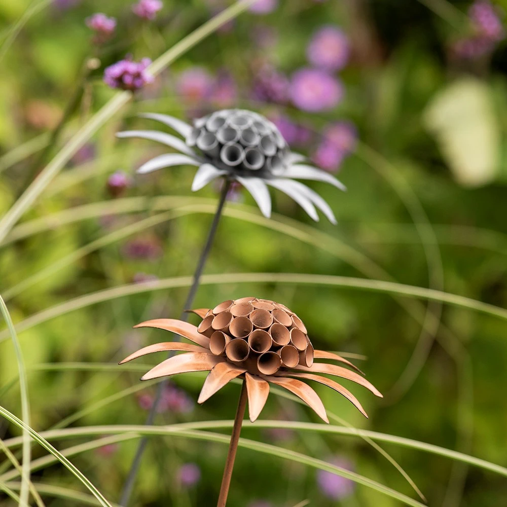 Scabiosa 'deadhead' Stake - Rust 4 Scabiosa 'deadhead' Stake - Rust - Image 4