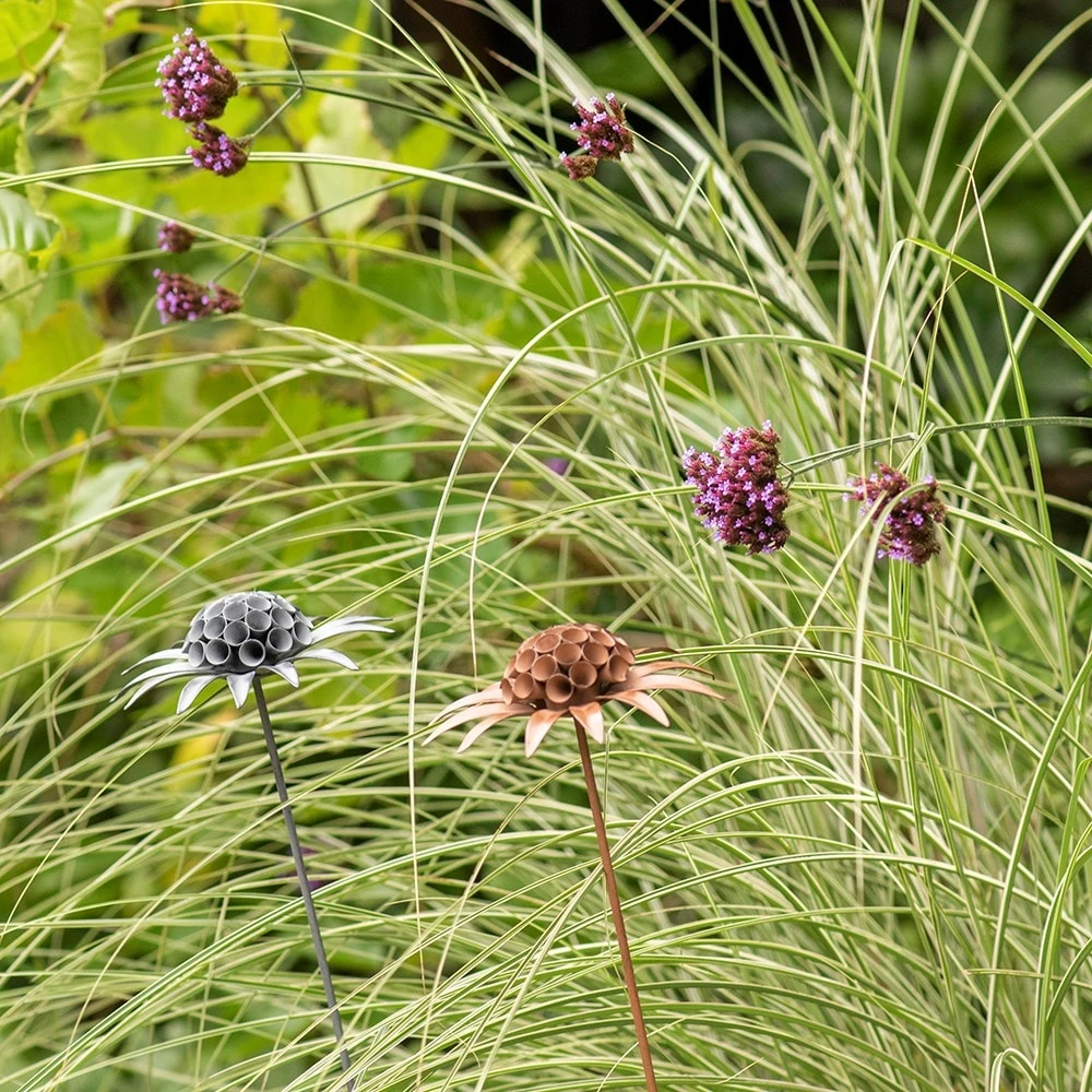 Scabiosa 'deadhead' Stake - Rust 5 Scabiosa 'deadhead' Stake - Rust - Image 5