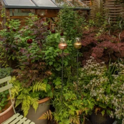 Tulip Stake Tealight Holder (adjustable Height) - Brushed Copper 10 Tulip Stake Tealight Holder (adjustable Height) - Brushed Copper -Cheap Plants Store pr2000041728 card3 lg