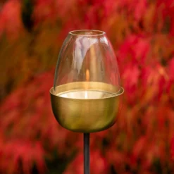 Tulip Stake Tealight Holder (adjustable Height) - Brushed Brass -Cheap Plants Store pr2000041729 card5 lg