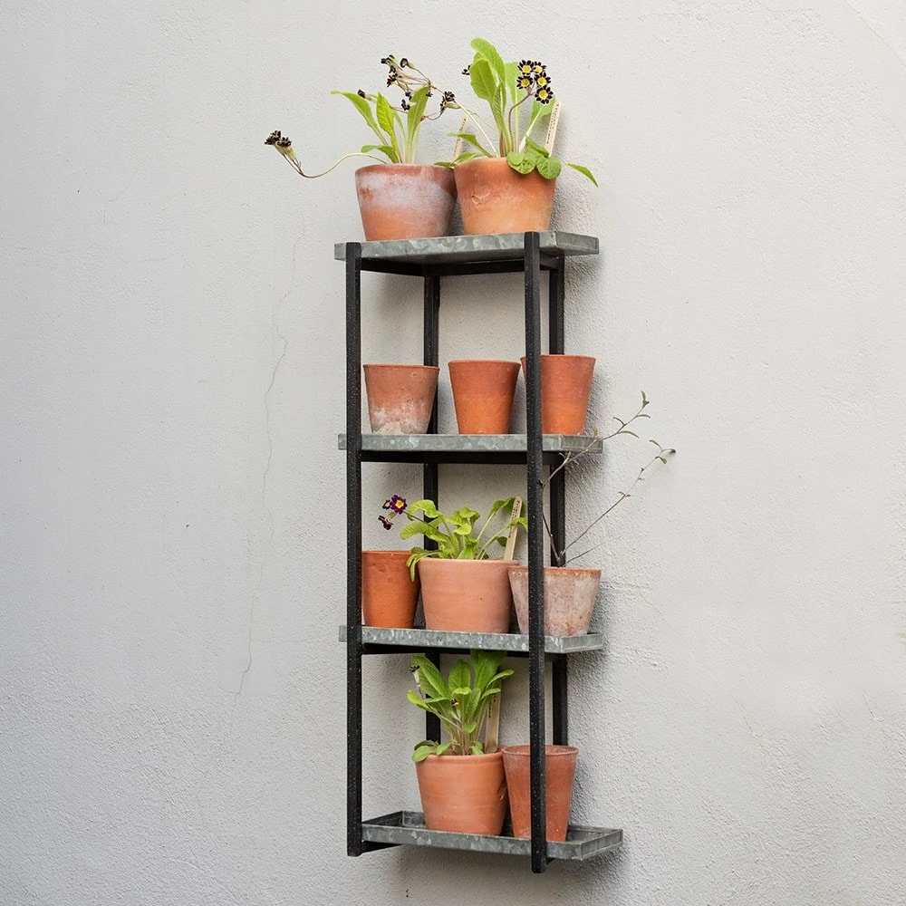 Wall Plant Display 2 Wall Plant Display - Image 2