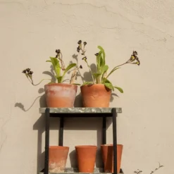 Wall Plant Display 9 Wall Plant Display -Cheap Plants Store pr2000041734 card5 lg