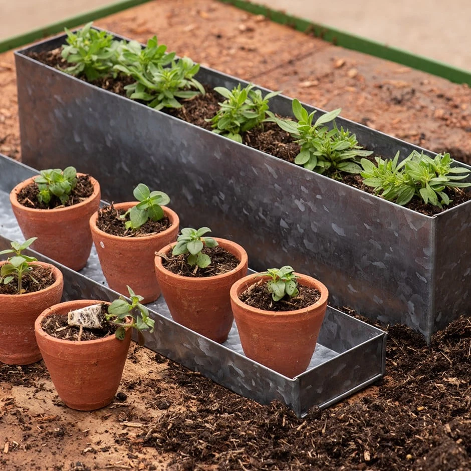 Galvanised Box With Ten Grow Pots 1 Galvanised Box With Ten Grow Pots