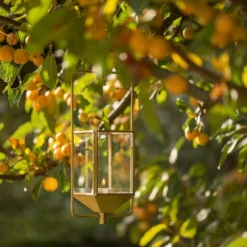 Hanging Tealight Lantern - Brass -Cheap Plants Store pr2000041742 card3 lg