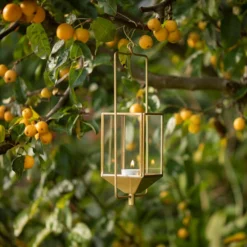 Hanging Tealight Lantern - Brass -Cheap Plants Store pr2000041742 card4 lg
