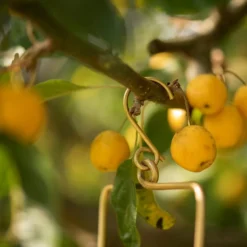 Hanging Tealight Lantern - Brass -Cheap Plants Store pr2000041742 card5 lg