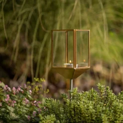 Low Stake Tealight Lantern 11 Low Stake Tealight Lantern -Cheap Plants Store pr2000041744 card6 lg