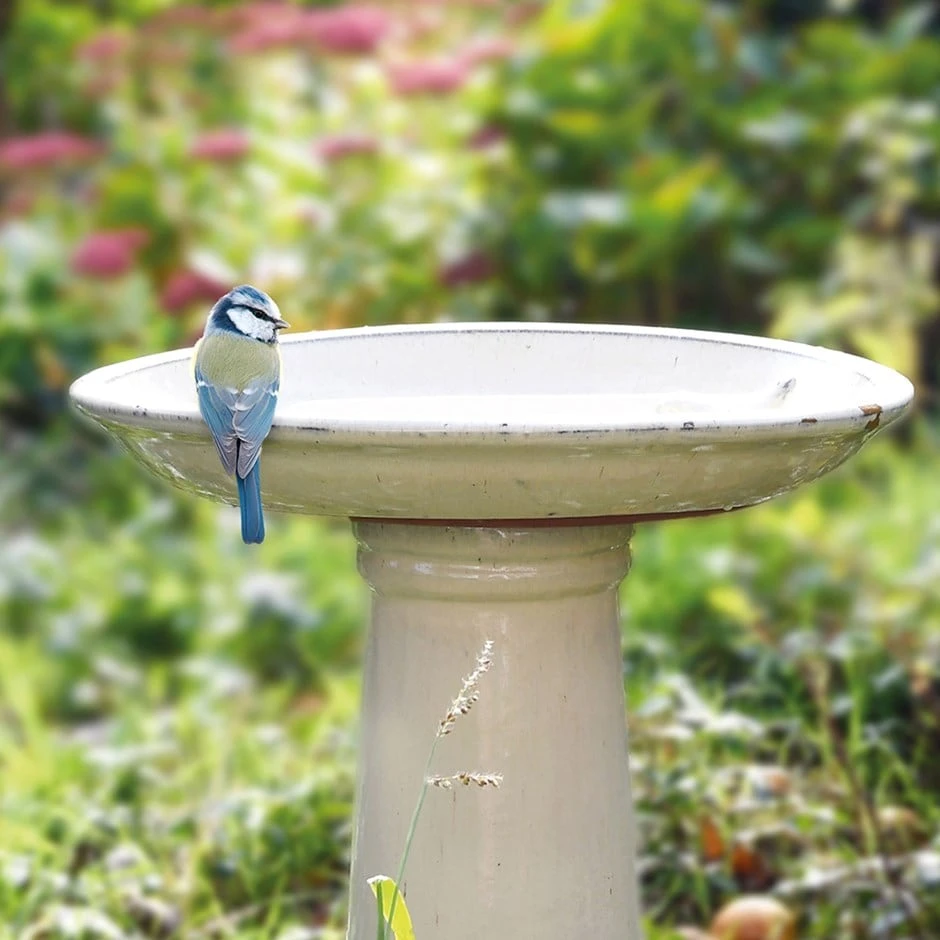 Ceramic Bird Bath On Pedestal 1 Ceramic Bird Bath On Pedestal