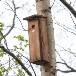 Woodpecker House -Cheap Plants Store pr2000042955 card3 lg