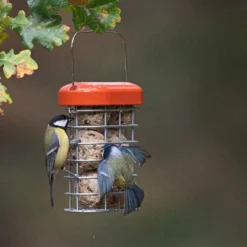 Premium Suet Feeder -Cheap Plants Store pr2000044042 card3 lg