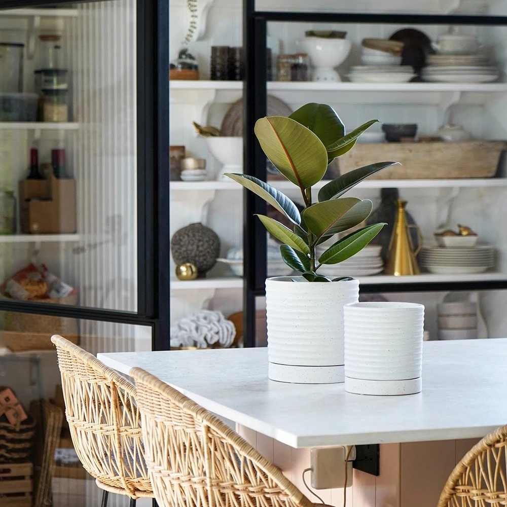 Stoneware Plant Pot & Saucer - White 2 Stoneware Plant Pot & Saucer - White - Image 2