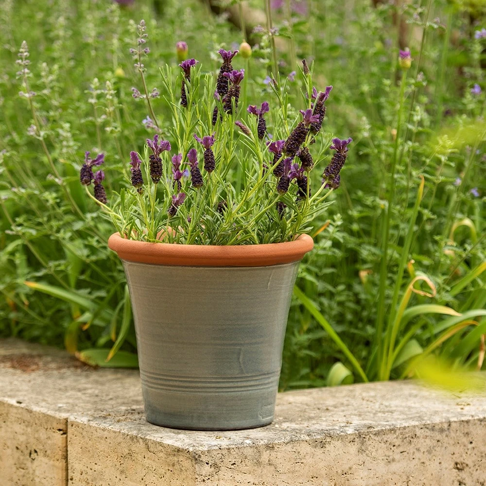 Grey Kitchen Planter 4 Grey Kitchen Planter - Image 4