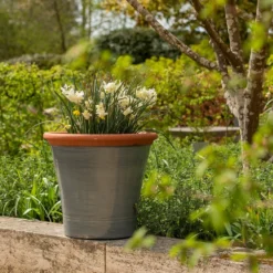 Grey Kitchen Planter 15 Grey Kitchen Planter -Cheap Plants Store pr2000044988 card8 lg