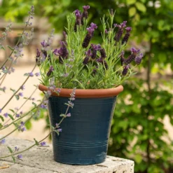 Dark Teal Kitchen Planter -Cheap Plants Store pr2000044992 card6 lg