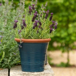 Dark Teal Kitchen Planter -Cheap Plants Store pr2000044992 card7 lg