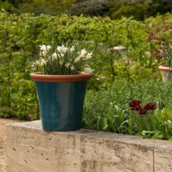 Dark Teal Kitchen Planter -Cheap Plants Store pr2000044992 card8 lg