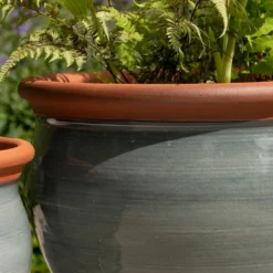 Grey Bellied Planter 7 Grey Bellied Planter -Cheap Plants Store pr2000045000 card3 lg