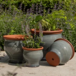 Grey Bellied Planter 9 Grey Bellied Planter -Cheap Plants Store pr2000045000 card5 lg