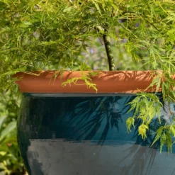 Dark Teal Bellied Planter 7 Dark Teal Bellied Planter -Cheap Plants Store pr2000045004 card3 lg