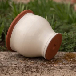 Ivory Bellied Planter 11 Ivory Bellied Planter -Cheap Plants Store pr2000045026 card4 lg