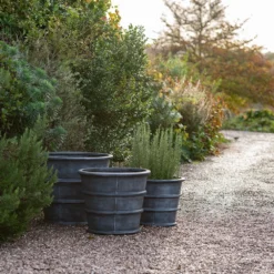 Greystoke Ribbed Planter - Aged Zinc -Cheap Plants Store pr2000046295 card5 lg