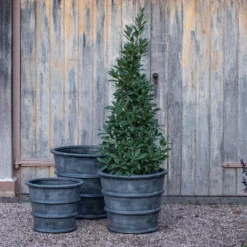 Greystoke Ribbed Planter - Aged Zinc -Cheap Plants Store pr2000046295 card6 lg