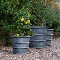 Greystoke Ribbed Planter - Aged Zinc -Cheap Plants Store pr2000046295 card9 lg